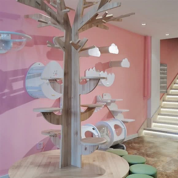 萌宠汇名猫馆_猫咖:大庆市让胡路区电业局附近