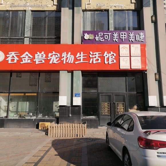吞金剑齿虎宠物生活馆:大庆市让胡路区铁人广场/大庆一中附近