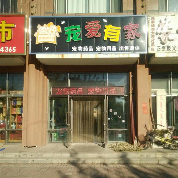 宠爱有家:大庆市大同区大同区中心城区附近