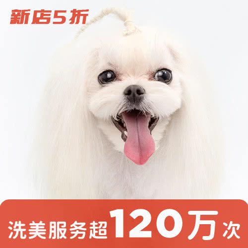 宠物家(海特花园店):北京城区石景山区苹果园附近