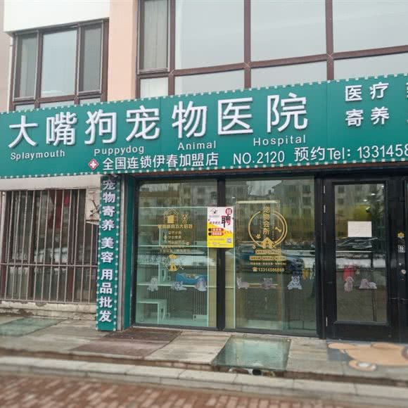 大嘴狗宠物医院(伊春店):伊春市伊美区伊春区中心城区附近