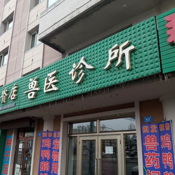 兽医诊所:伊春市乌翠区伊春乌马河客运站附近