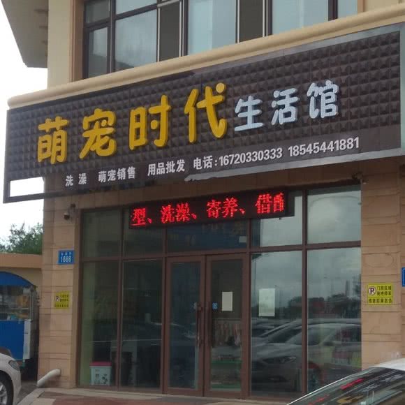萌宠时代生活馆:佳木斯市向阳区佳木斯大学附近
