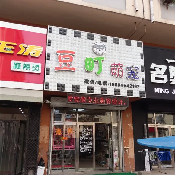 豆町萌宠:佳木斯市向阳区二医院附近