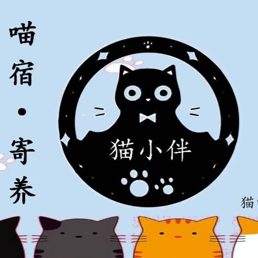 猫小伴·喵宿·寄养(总店):北京城区石景山区鲁谷附近