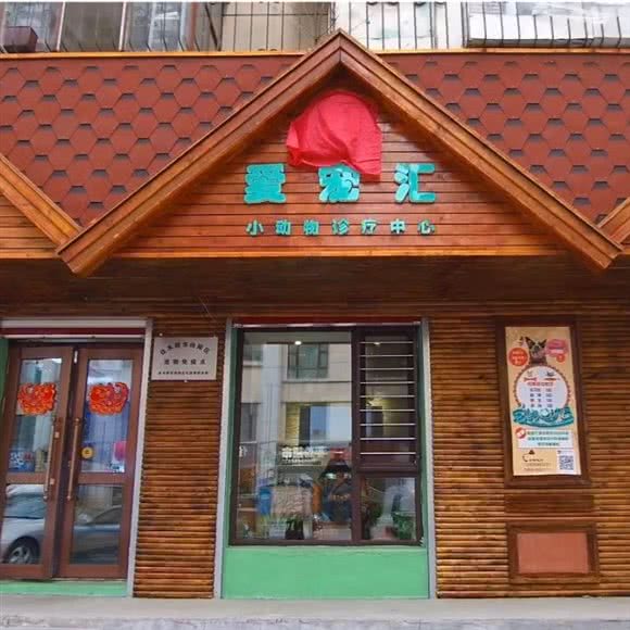 爱宠汇眼科猫科骨科心脏专科动物诊疗中心:佳木斯市向阳区中医院附近