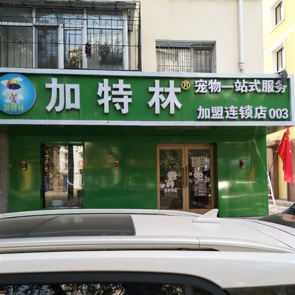加特林宠物一站式服务(连锁店003):佳木斯市向阳区百货大楼附近