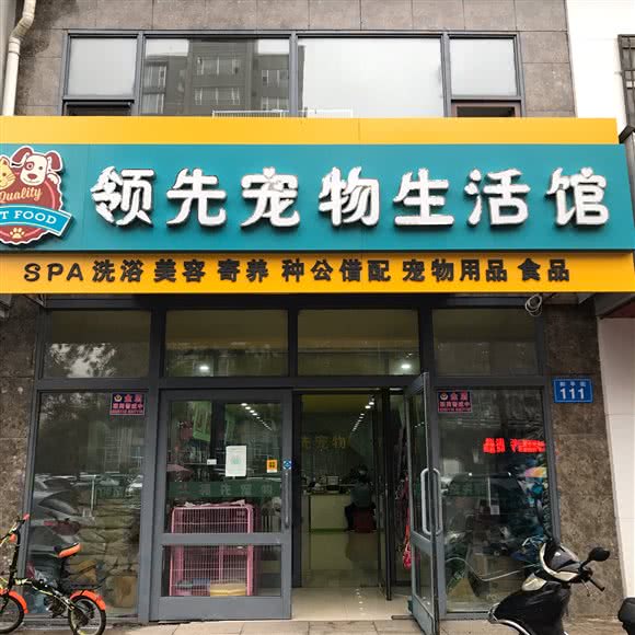 领先宠物生活馆:佳木斯市前进区佳木斯火车站附近