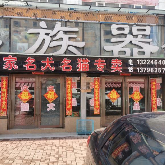 嘉家名犬名猫专卖:佳木斯市东风区长安东路附近