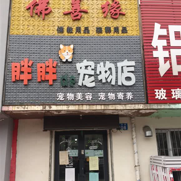 胖胖De宠物店:佳木斯市郊区英俊公园附近