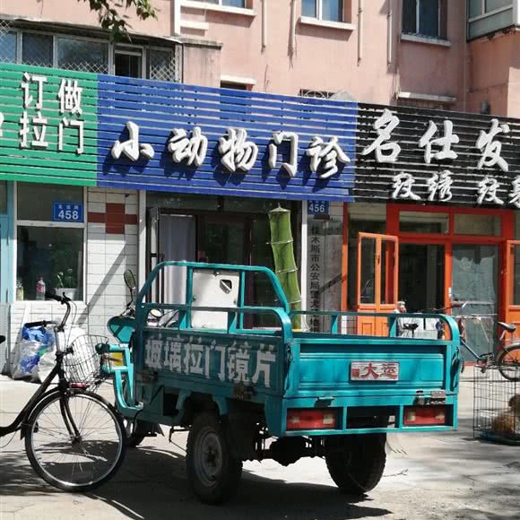 小动物门诊:佳木斯市郊区英俊公园附近