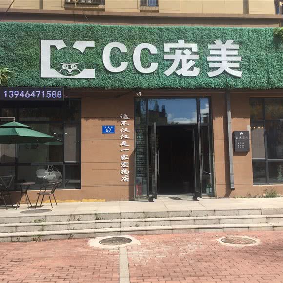 CC宠美:佳木斯市郊区佳木斯市政府附近