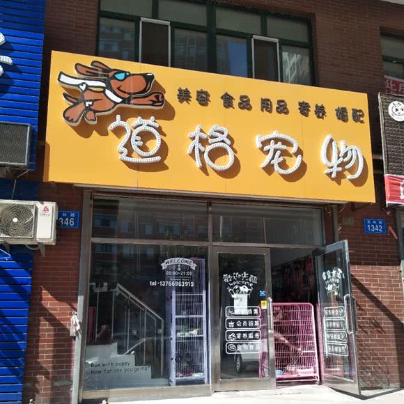 道格宠物:佳木斯市郊区佳木斯市政府附近