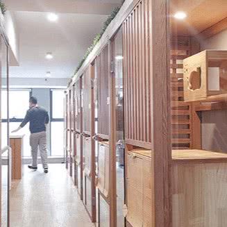 猫托托猫咪酒店·寄养(鲁谷店):北京城区石景山区鲁谷附近