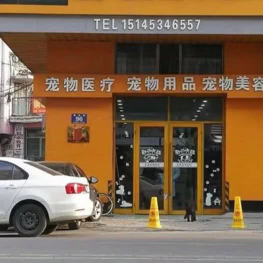 普爱24小时宠物医院:牡丹江市东安区政府附近