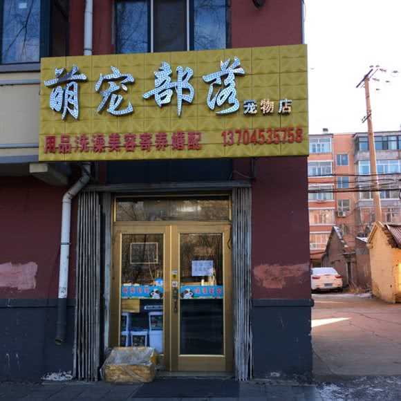 萌宠部落宠物店:牡丹江市爱民区新华路附近