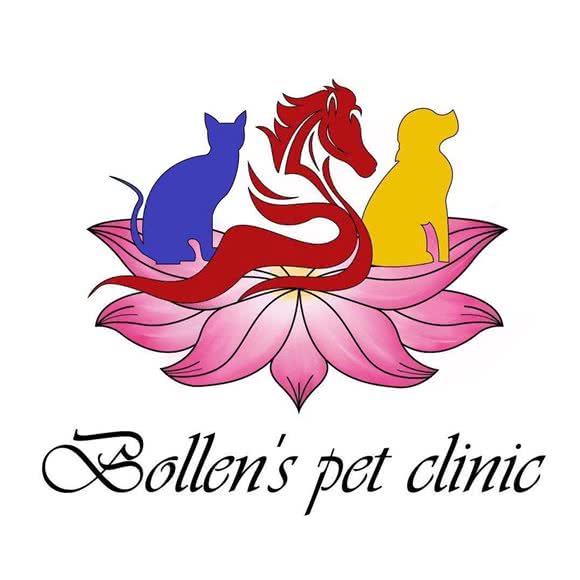 博伦宠物诊所:牡丹江市爱民区牡丹江第三高中附近