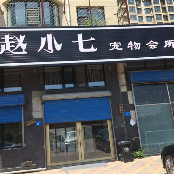赵小七狗狗会所:牡丹江市爱民区北山公园/体育馆附近