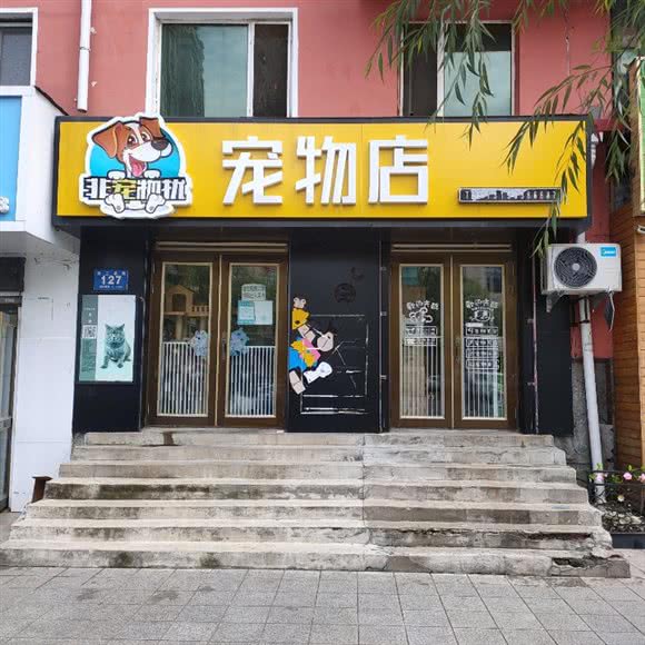 非宠物扰宠物店:牡丹江市西安区七星街附近
