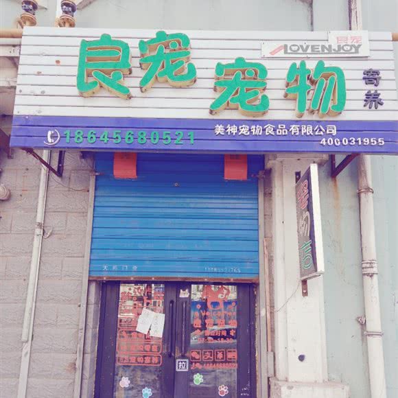 良宠宠物:黑河市爱辉区爱辉区中心城区附近