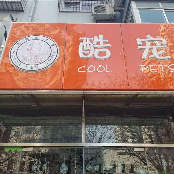 酷宠:北京城区石景山区鲁谷附近
