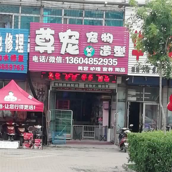 米奇萌宠屋:绥化市北林区火车站附近