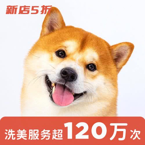 狗狗家:北京城区石景山区鲁谷附近