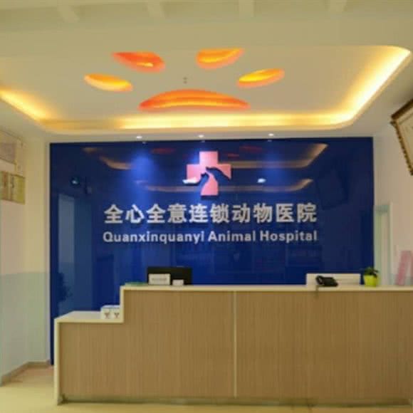 全心全意连锁动物医院(石景山分院):北京城区石景山区鲁谷附近