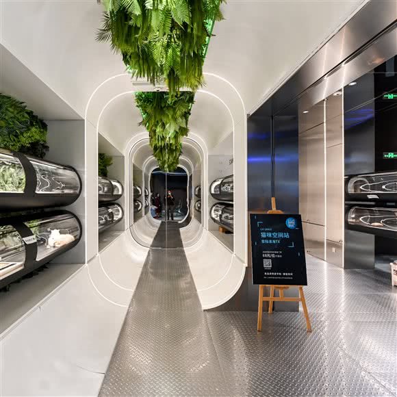 babydoll cat space 猫舍空间站(TX淮海店):上海城区黄浦区淮海路/陕西南路附近