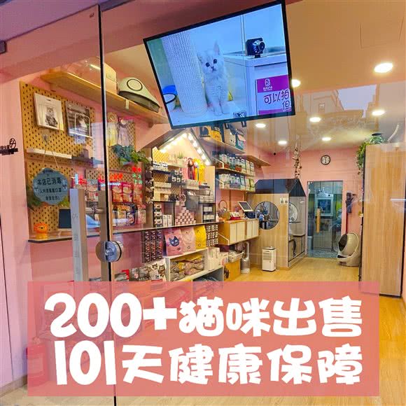 百帕·拼猫猫·金渐层布偶猫舍(淮海中路店):上海城区黄浦区淮海路/陕西南路附近