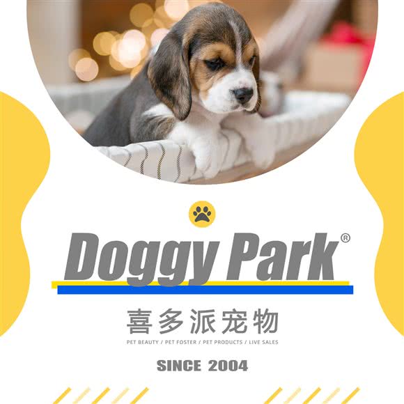 DOGGYPARK喜多派:上海城区黄浦区人民广场/南京路附近