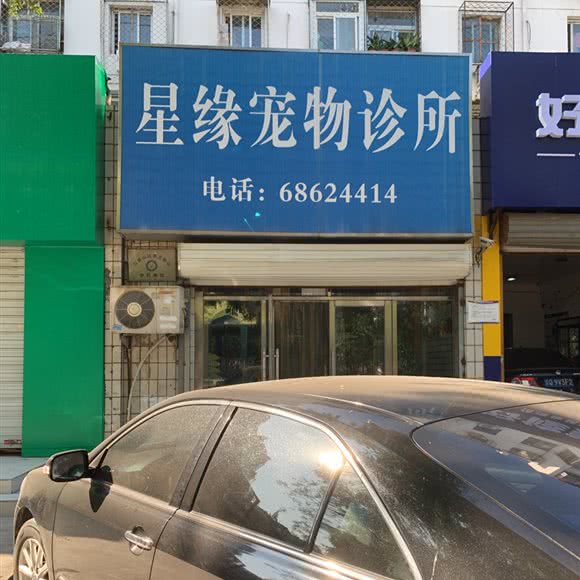 星缘宠物医院:北京城区石景山区鲁谷附近