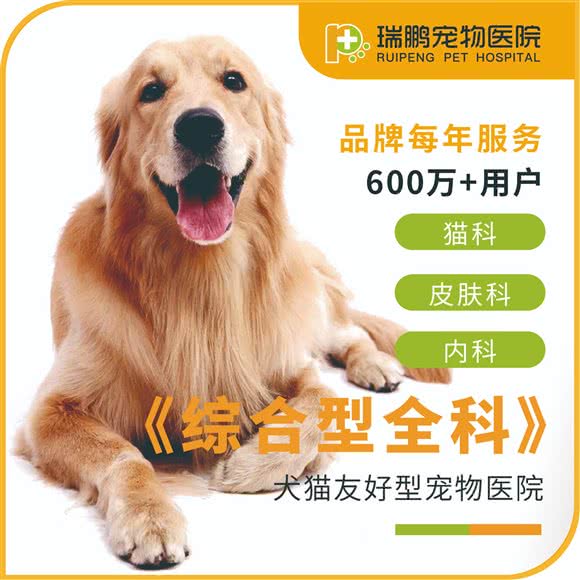 瑞鹏宠物医院(新闸分院):上海城区黄浦区人民广场/南京路附近