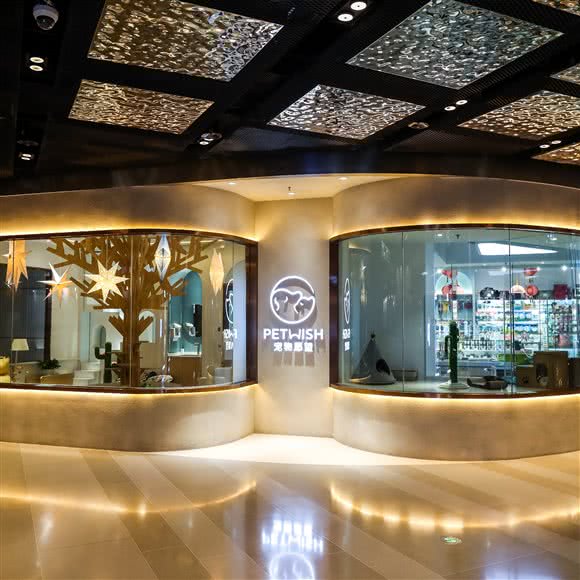 PET WISH宠物狗愿望:上海城区黄浦区外滩附近