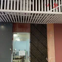 小熊宠物店:上海城区黄浦区董家渡/南浦大桥附近