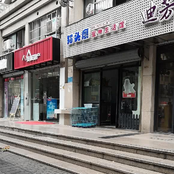 猫头鹰宠物生活馆:上海城区黄浦区董家渡/南浦大桥附近