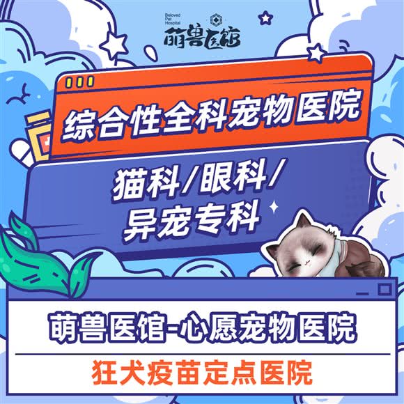 萌兽医馆·心愿宠物医院·狂犬免疫定点·猫科·眼科中心·异宠专科:上海城区黄浦区西藏南路/世博会馆附近