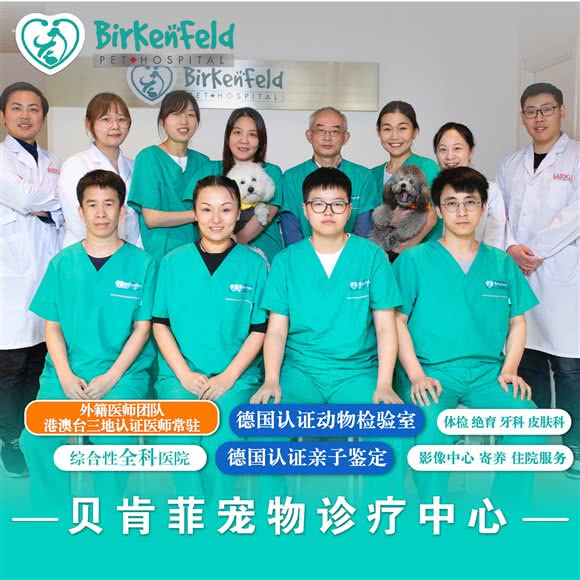 贝肯菲宠物医院:上海城区黄浦区西藏南路/世博会馆附近