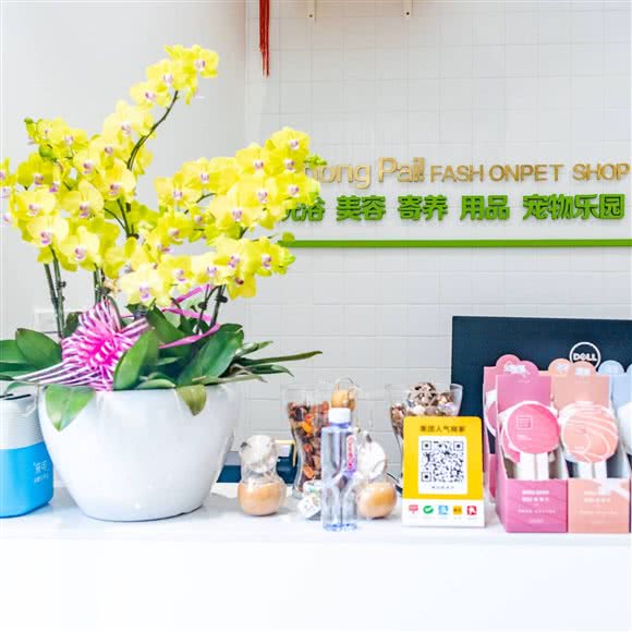 宠π宠派萌蒙哥马利 高端宠物生活馆:上海城区徐汇区徐家汇附近