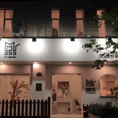 385宠物会所:上海城区徐汇区徐家汇附近