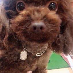 梵米派:上海城区徐汇区徐家汇附近