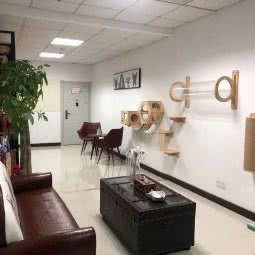 馨宠宠物狗:上海城区徐汇区漕河泾/田林附近