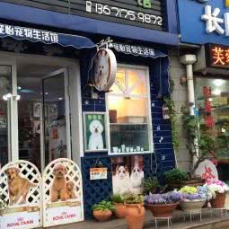 宠怡生活馆:上海城区徐汇区漕河泾/田林附近