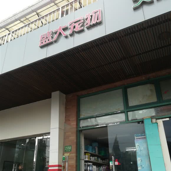 盛大宠物:上海城区徐汇区龙华/西岸附近