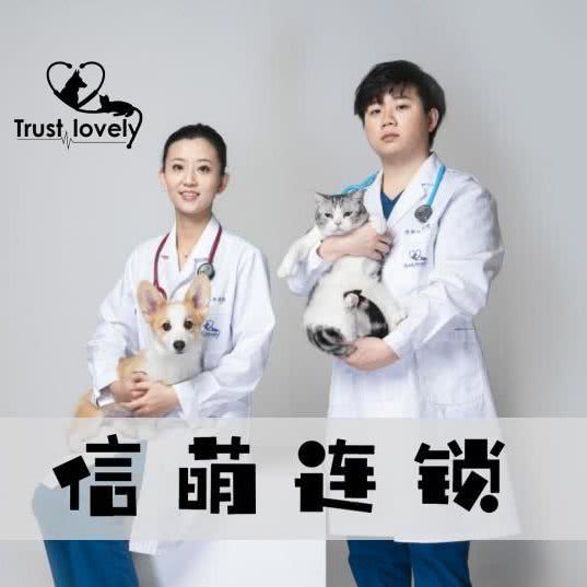 信萌宠物医院总院24H急重症·绝育:上海城区徐汇区龙华/西岸附近