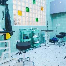 PPP-Pet Corner彼氏宠物狗:上海城区徐汇区肇嘉浜路/中山医院附近