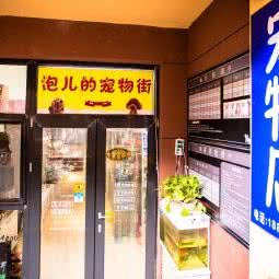 宠物街:北京城区石景山区古城/八角附近