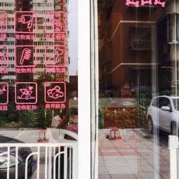 大脸喵宠物生活馆:北京城区石景山区古城/八角附近