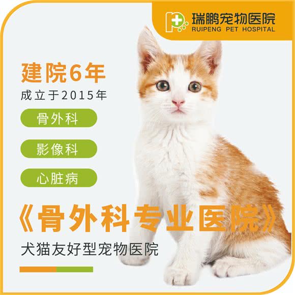 瑞鹏宠物医院:上海城区徐汇区肇嘉浜路/中山医院附近