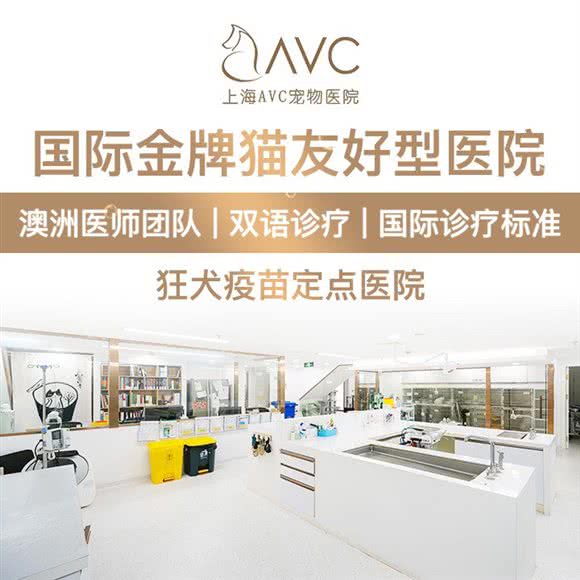 上海AVC宠物医院·英语诊疗·澳洲医师团队:上海城区徐汇区肇嘉浜路/中山医院附近